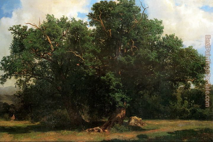 Alexandre Calame Paintings for sale